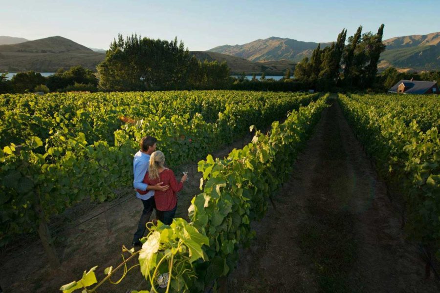 10 Day South Island Luxury Guided Tour